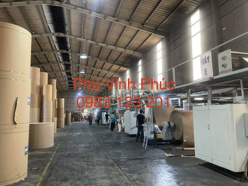 Sản xuất thùng Carton