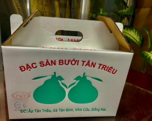 Thùng Carton Đựng Bưởi