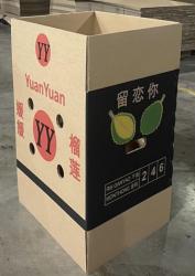 Thùng carton đựng sầu riêng